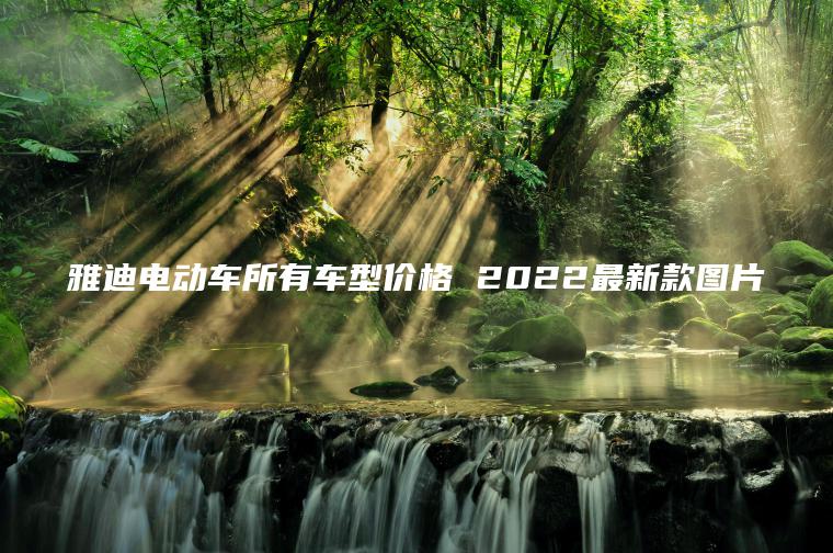 雅迪電動車所有車型價格 2022最新款圖片 雅迪電動車所有車型價格 2022最新款圖片