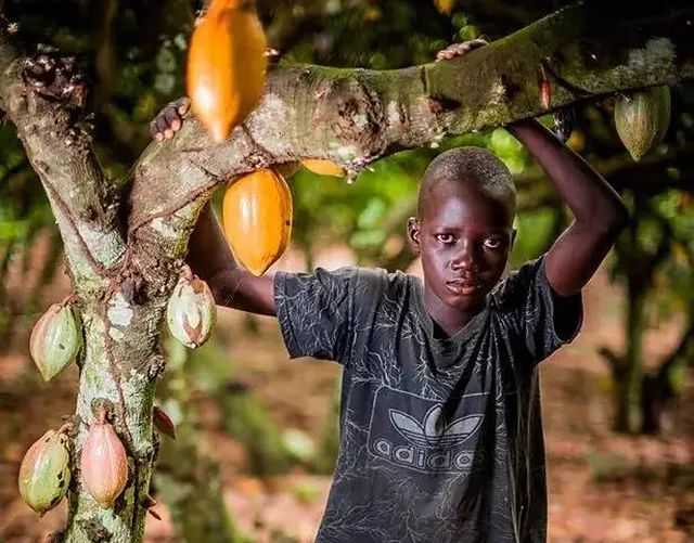 販賣黑奴時(shí),奴隸主怎么挑選?掰開嘴巴看牙齒,靠舔下巴識(shí)別汗液