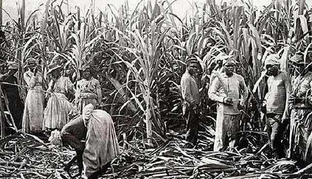 販賣黑奴時(shí),奴隸主怎么挑選?掰開嘴巴看牙齒,靠舔下巴識(shí)別汗液