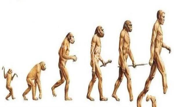 科學(xué)家發(fā)現(xiàn)人類DNA存在修改痕跡！其中或許隱藏了人類起源！