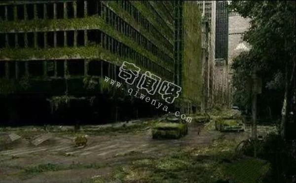 人類滅絕后地球會怎樣？八張圖片帶你看完人類消失的地球