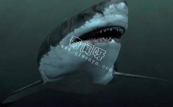 它可能是地球上出現過的咬合力最強的生物，卻依然難逃滅絕