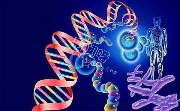 科學(xué)家發(fā)現(xiàn)人類DNA存在修改痕跡！其中或許隱藏了人類起源！