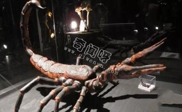 盤點地球史上十大巨型怪物，如果沒滅絕世界將因此而改變！