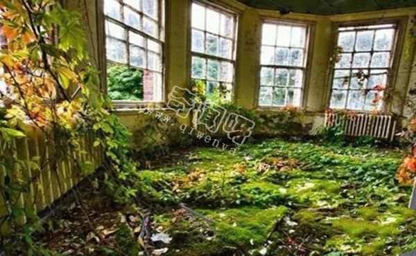 人類滅絕后地球會怎樣？八張圖片帶你看完人類消失的地球