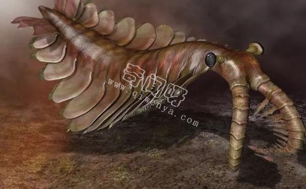 盤點地球史上十大巨型怪物，如果沒滅絕世界將因此而改變！