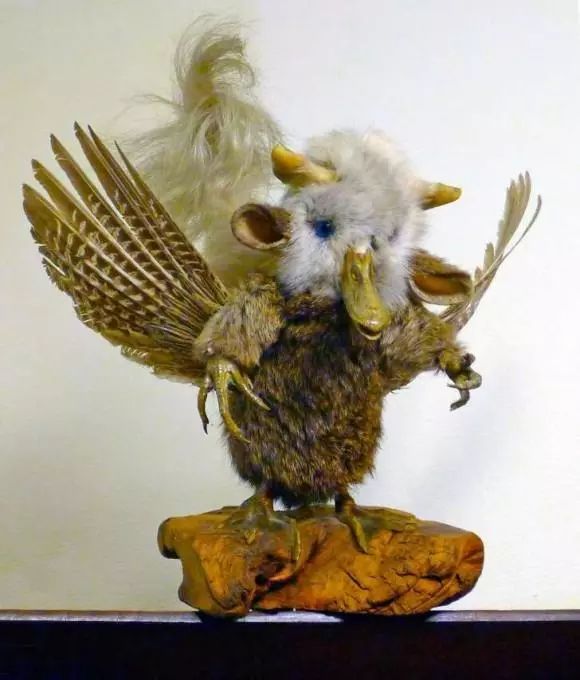 8個真實存在的神話中的生物標本,水底情深異形“精靈魚”