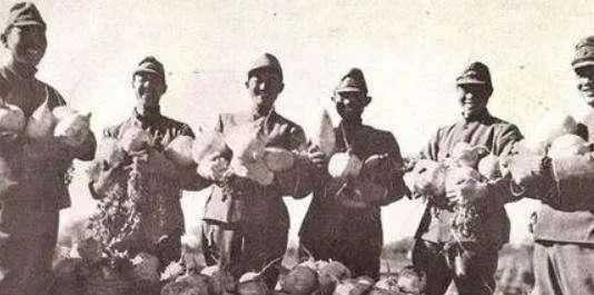 日軍最奇葩軍隊,看到路過的中國軍隊一槍不開,目送40萬人遠去!