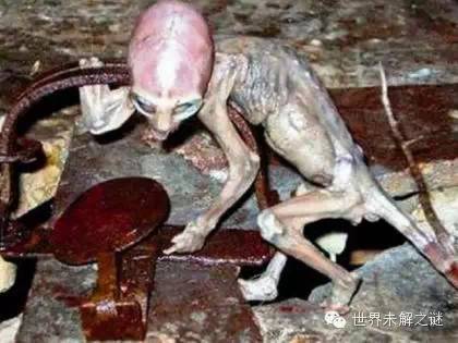 外星人照片是真的？你真相信外星人存在嗎？