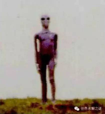 外星人照片是真的？你真相信外星人存在嗎？