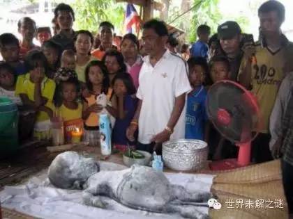 外星人照片是真的？你真相信外星人存在嗎？