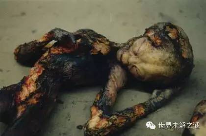 外星人照片是真的？你真相信外星人存在嗎？