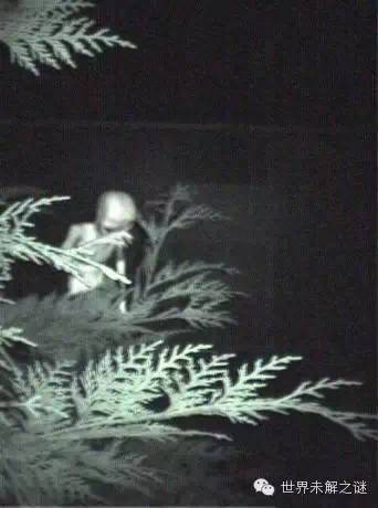 外星人照片是真的？你真相信外星人存在嗎？