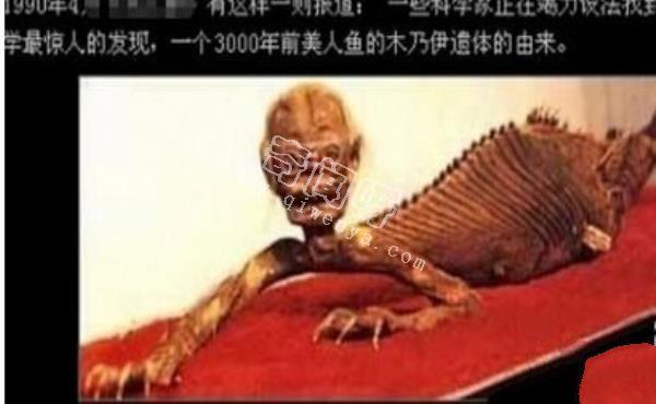 美人魚是史前地球人類用基因改造的?