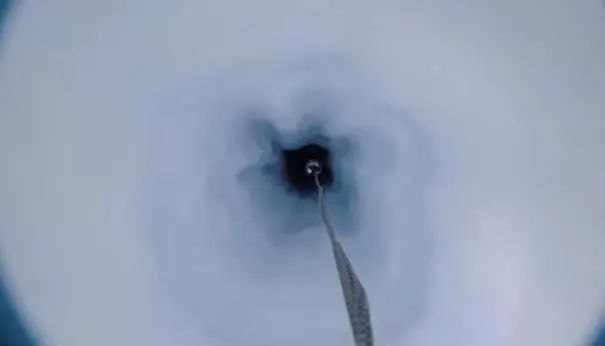 鉆穿南極冰棚深海發(fā)現(xiàn)活石，未知生物曝光科學家震驚