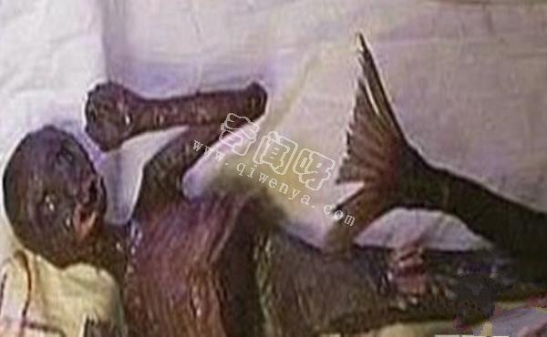 美人魚是史前地球人類用基因改造的?