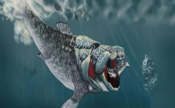 這就是地球第一代統治者，沒有牙齒的怪物，鯊魚和同類都是食物