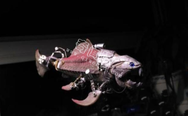 這就是地球第一代統治者,沒有牙齒的怪物,鯊魚和同類都是食物