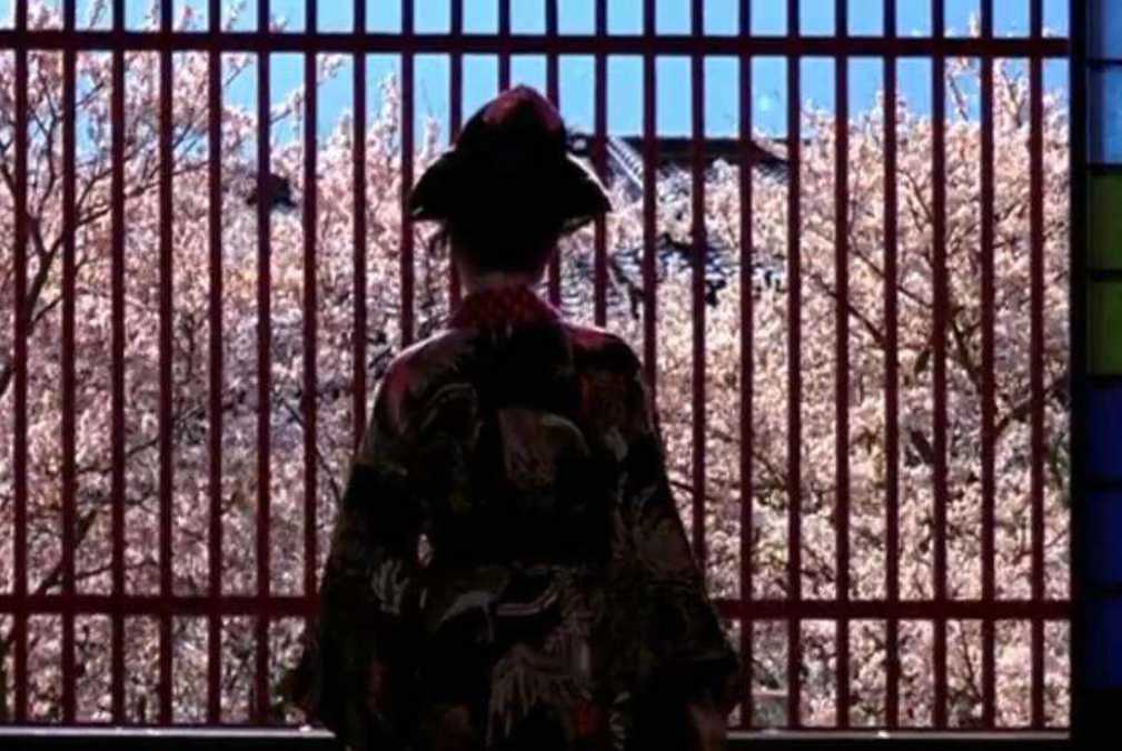 日本花魁地位有多高？想見面先過3關，28歲是法定退休年齡