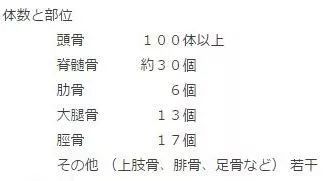 東京最猛鬧鬼景點：翠綠公園下埋著“二戰實驗品”百余具人骨