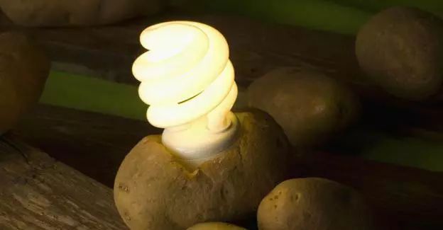科學家發現馬鈴薯能發電！ 一顆就能照亮你家40天