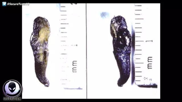 UFO 飛走后留下地球沒(méi)有的『外星物體』！