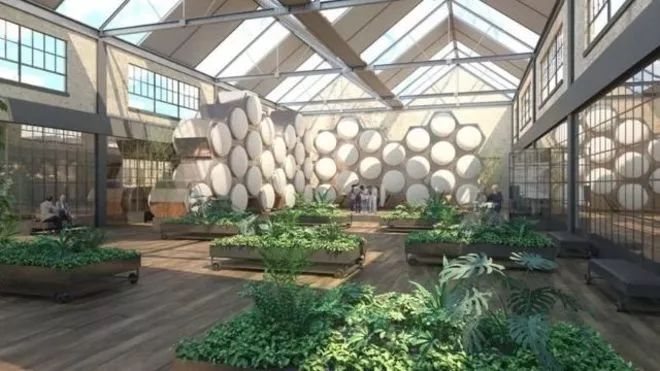 綠色葬禮：人死后 尸體真能成為肥料嗎？