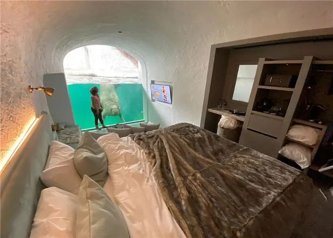 神仙度假村:可以跟海象一起睡,高級套房還能靠近北極熊!