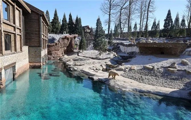 神仙度假村：可以跟海象一起睡，高級套房還能靠近北極熊！