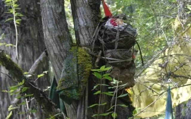 盤點(diǎn)全球10大奇葩葬禮，死后撥皮！