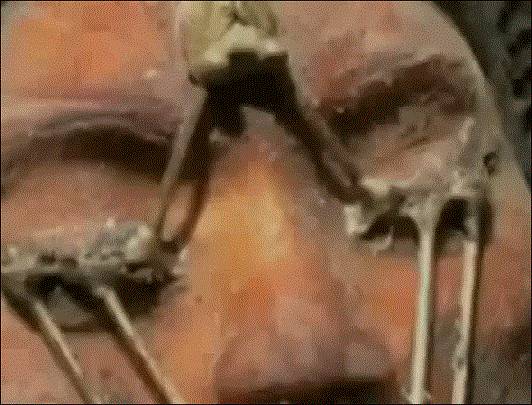 NASA前職員公開阿波羅號在月球上發現的外星船和“蒙娜麗莎”女外星人!