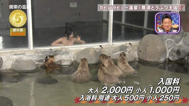 攝影師大秀遮三點神技,溫泉特集都在看美體!