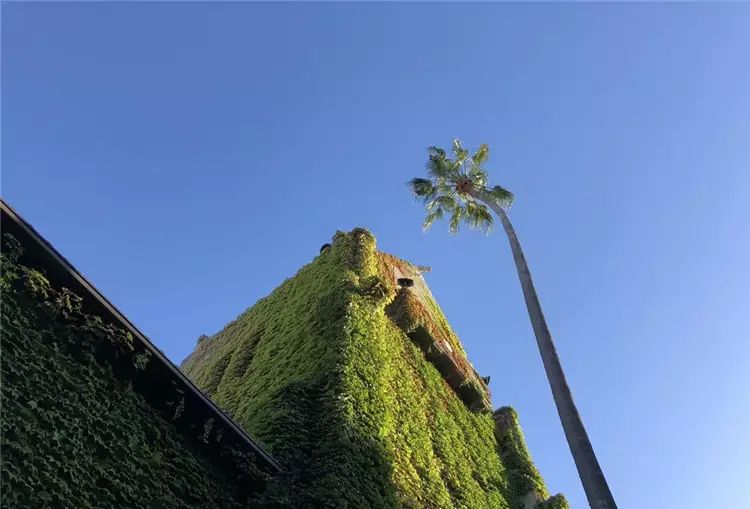 iPhone 8開箱初試:效能、拍攝讓人驚艷,期待iPhone X