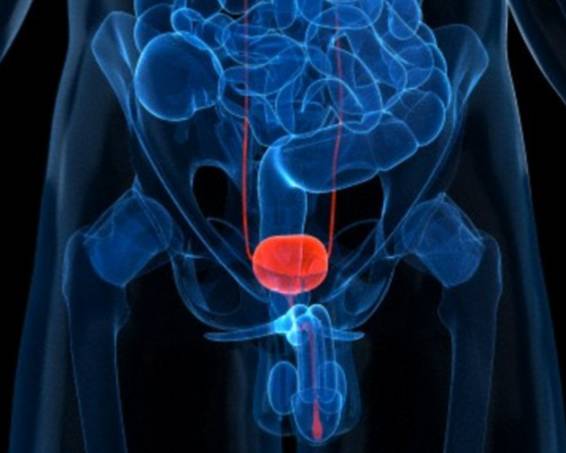 高個子男人會得同一種致命疾病!身高多10cm死亡率增加17%!