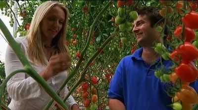 沙漠農場在沒有土壤、地下水、農藥的情況下種出17000噸的食物!