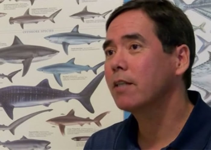 羅勒指卡瓦利曾邀請他協助拍攝造假的鯊魚咬傷片段。