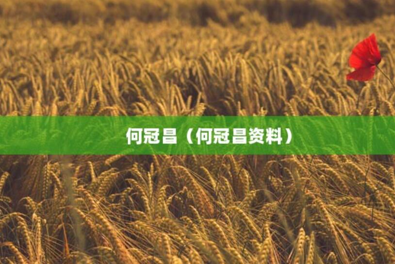 何冠昌(何冠昌資料) 何冠昌(何冠昌資料)