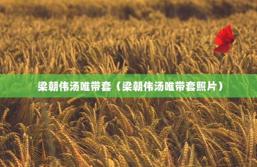 梁朝偉湯唯帶套(梁朝偉湯唯帶套照片) 梁朝偉湯唯帶套(梁朝偉湯唯帶套照片)