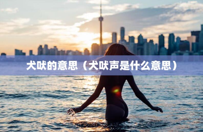 犬吠的意思（犬吠聲是什么意思）