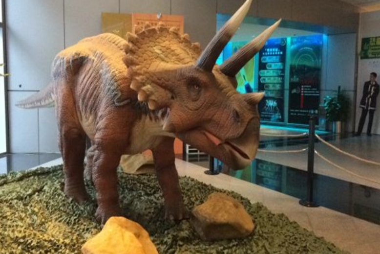 開角龍：外觀上和三角龍很是類似（角龍科一類恐龍）